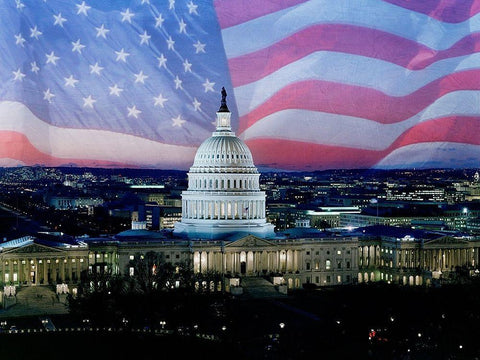 Capitol Pride Black Ornate Wood Framed Art Print with Double Matting by Prime, Marcus