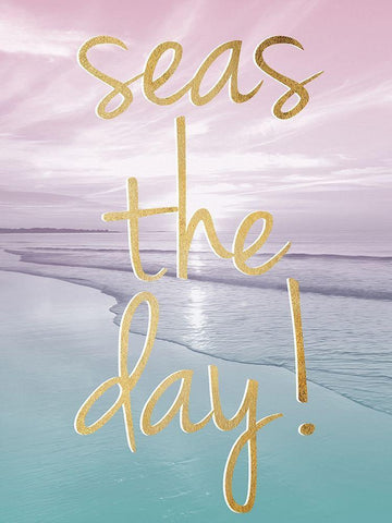 Seas The Day Black Ornate Wood Framed Art Print with Double Matting by Prime, Marcus