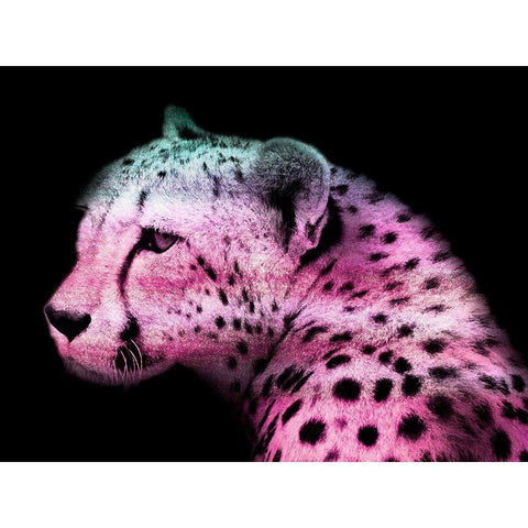 Fun Cheetah 1 White Modern Wood Framed Art Print by Prime, Marcus