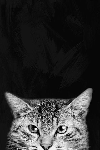 Sneaky Stare 1 Black Ornate Wood Framed Art Print with Double Matting by Prime, Marcus