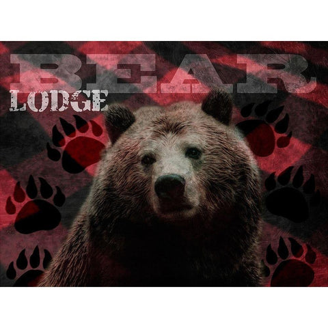 Flannel Bear Lodge 1 White Modern Wood Framed Art Print by Prime, Marcus