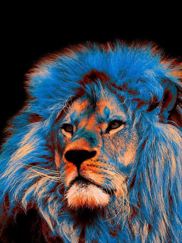 Pride Rock 1 White Modern Wood Framed Art Print with Double Matting by Prime, Marcus