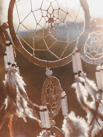 Spirited Dreamcatcher Black Ornate Wood Framed Art Print with Double Matting by Prime, Marcus