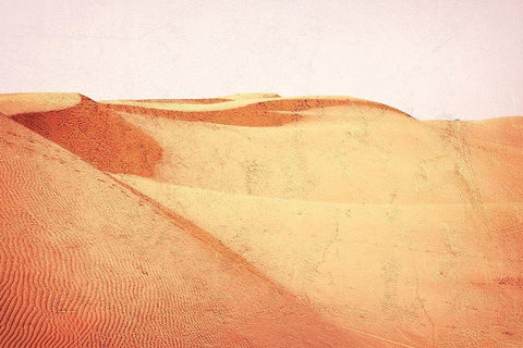 Desert Oasis 1 White Modern Wood Framed Art Print with Double Matting by Prime, Marcus