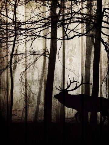 Dawn Lit Stroll 1 White Modern Wood Framed Art Print with Double Matting by Prime, Marcus