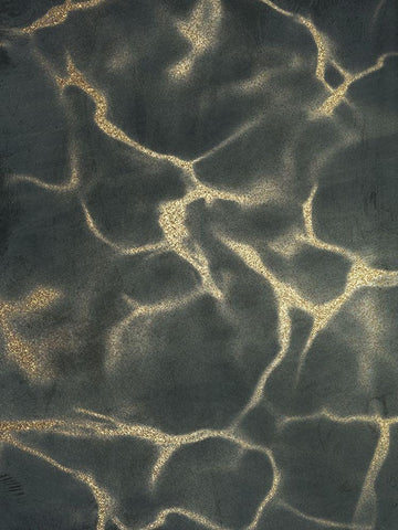 Golden Fluidity 1 Black Ornate Wood Framed Art Print with Double Matting by Prime, Marcus