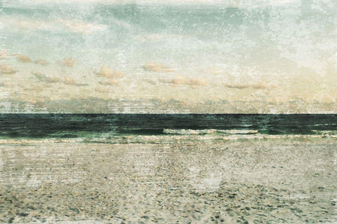 Invigorating Shore Black Ornate Wood Framed Art Print with Double Matting by Prime, Marcus