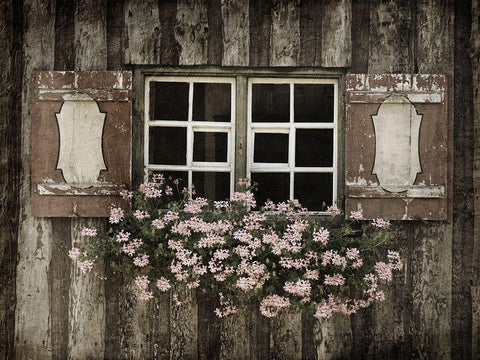 Welcoming Window 1 White Modern Wood Framed Art Print with Double Matting by Prime, Marcus