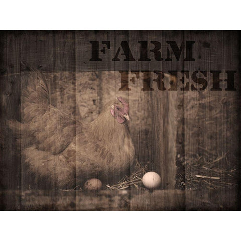 Farm Fresh Chicken 1 Gold Ornate Wood Framed Art Print with Double Matting by Prime, Marcus