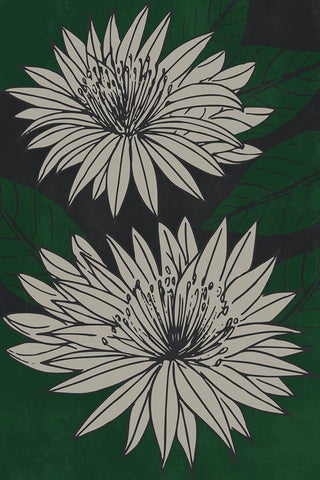 Floral Diversity White Modern Wood Framed Art Print with Double Matting by Prime, Marcus