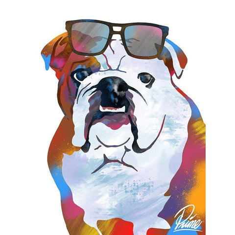 Flashy Bulldog 1 White Modern Wood Framed Art Print by Prime, Marcus