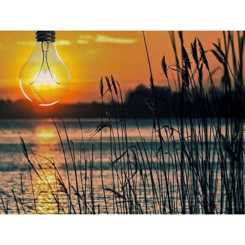 Morning Light 1 Black Modern Wood Framed Art Print with Double Matting by Prime, Marcus