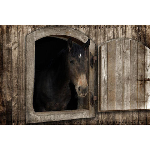 Loving Peek 1 Black Modern Wood Framed Art Print by Prime, Marcus