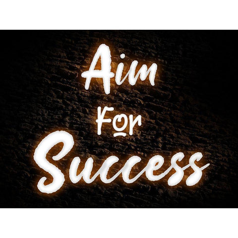 Aim For Success Black Modern Wood Framed Art Print with Double Matting by Prime, Marcus