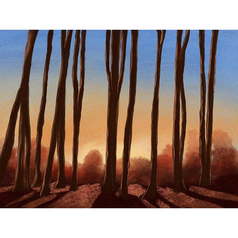 Creeping Shadows 1 Gold Ornate Wood Framed Art Print with Double Matting by Prime, Marcus
