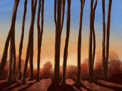 Creeping Shadows 1 Black Ornate Wood Framed Art Print with Double Matting by Prime, Marcus