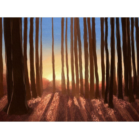 Creeping Shadows 2 White Modern Wood Framed Art Print by Prime, Marcus