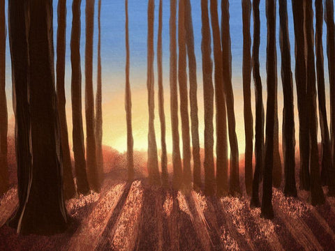 Creeping Shadows 2 White Modern Wood Framed Art Print with Double Matting by Prime, Marcus