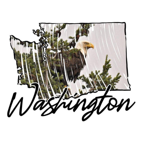 Washington Pride White Modern Wood Framed Art Print by Prime, Marcus