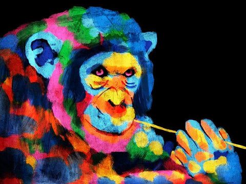 Monkey Color Burst 1 Black Ornate Wood Framed Art Print with Double Matting by Prime, Marcus