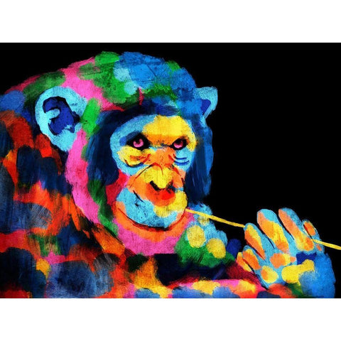 Monkey Color Burst 1 Black Modern Wood Framed Art Print by Prime, Marcus