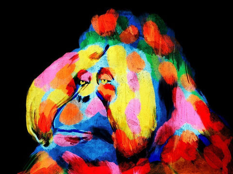 Monkey Color Burst 2 White Modern Wood Framed Art Print with Double Matting by Prime, Marcus