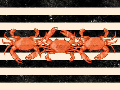 Crab Dance White Modern Wood Framed Art Print with Double Matting by Prime, Marcus