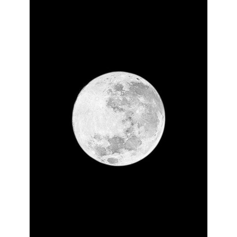 Moons Howl 1 White Modern Wood Framed Art Print by Prime, Marcus