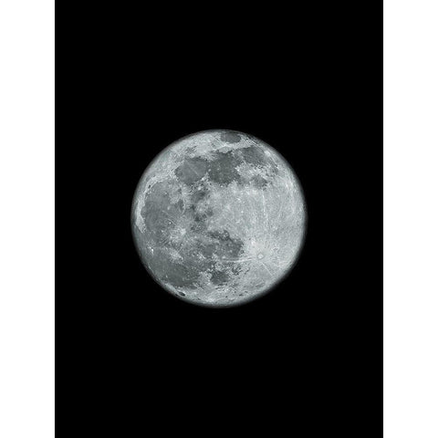 Moons Howl 2 Black Modern Wood Framed Art Print with Double Matting by Prime, Marcus