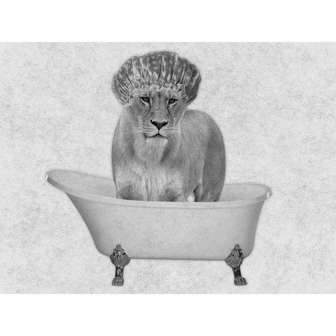 Bathing Lioness 2 White Modern Wood Framed Art Print by Prime, Marcus