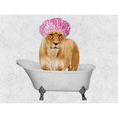 Bathing Lioness 1 White Modern Wood Framed Art Print by Prime, Marcus