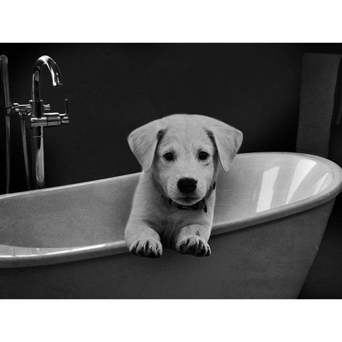 Bathroom Friend 1 Black Modern Wood Framed Art Print with Double Matting by Prime, Marcus