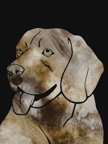 Doggy Wonders 1 White Modern Wood Framed Art Print with Double Matting by Prime, Marcus