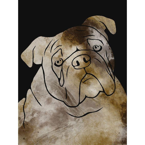 Doggy Wonders 2 Black Modern Wood Framed Art Print with Double Matting by Prime, Marcus