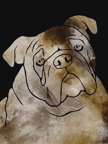 Doggy Wonders 2 White Modern Wood Framed Art Print with Double Matting by Prime, Marcus