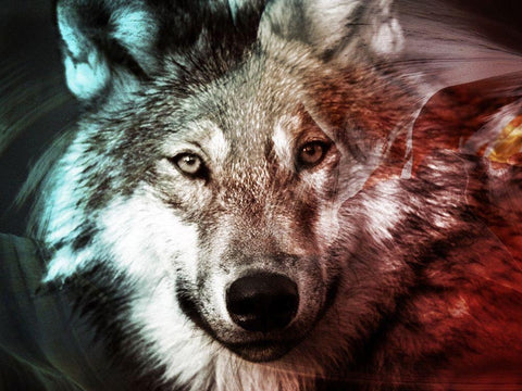 Spirit Animal 1 Black Ornate Wood Framed Art Print with Double Matting by Prime, Marcus