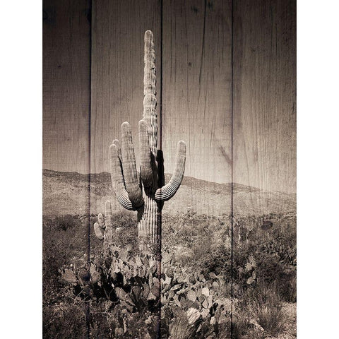 Western Vibes Black Modern Wood Framed Art Print with Double Matting by Prime, Marcus