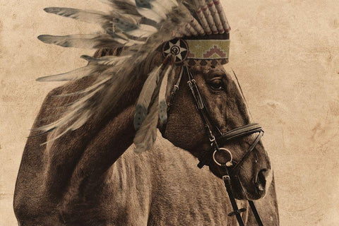 Native Horse White Modern Wood Framed Art Print with Double Matting by Prime, Marcus