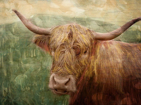 Hairy Bull Black Ornate Wood Framed Art Print with Double Matting by Prime, Marcus