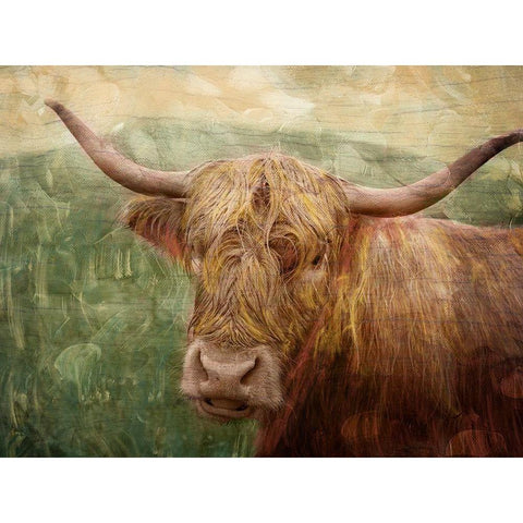Hairy Bull White Modern Wood Framed Art Print by Prime, Marcus