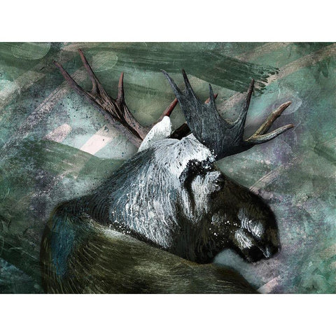 Spirit Moose 1 Black Modern Wood Framed Art Print with Double Matting by Prime, Marcus