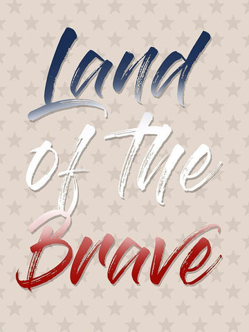 Land Of The Brave White Modern Wood Framed Art Print with Double Matting by Prime, Marcus