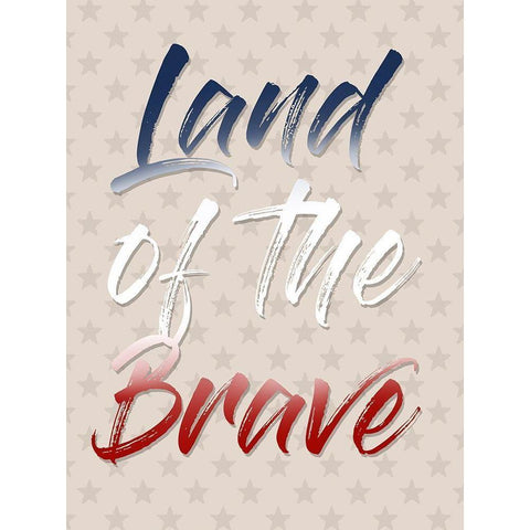 Land Of The Brave Black Modern Wood Framed Art Print with Double Matting by Prime, Marcus