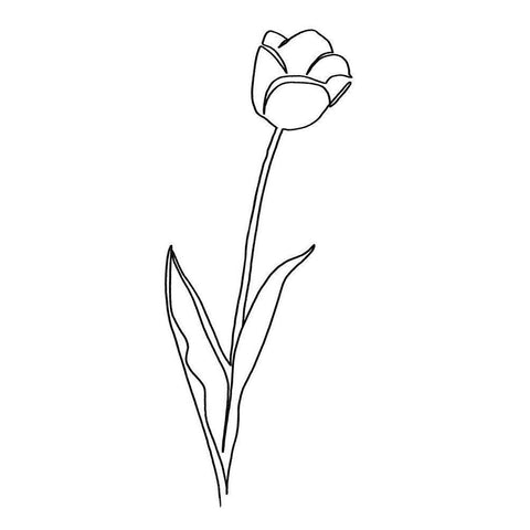 Paper Tulip 2 White Modern Wood Framed Art Print by Prime, Marcus