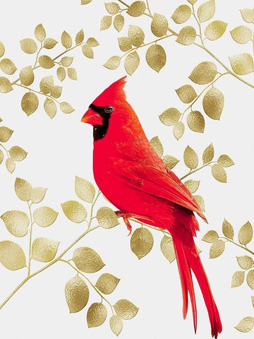 Cheerful Cardinal 1 White Modern Wood Framed Art Print with Double Matting by Prime, Marcus