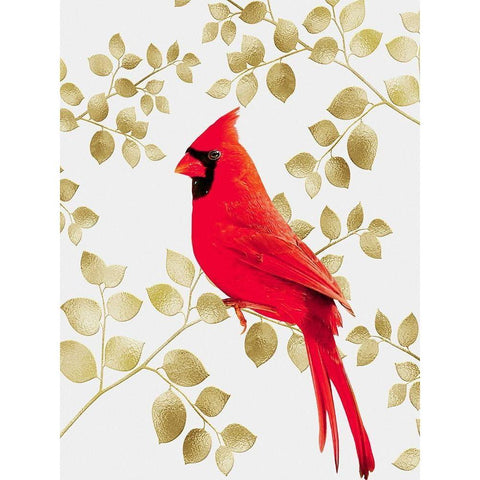 Cheerful Cardinal 1 Black Modern Wood Framed Art Print by Prime, Marcus