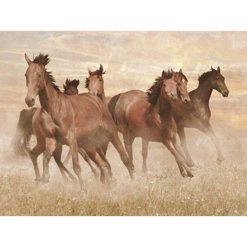 Running Free 1 Gold Ornate Wood Framed Art Print with Double Matting by Prime, Marcus