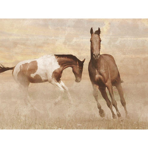 Running Free 2 Black Modern Wood Framed Art Print by Prime, Marcus