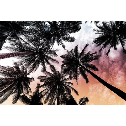 Sunset Palms 2 Black Modern Wood Framed Art Print with Double Matting by Prime, Marcus