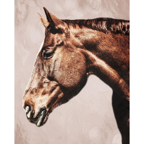 Marching Steed 2 Black Modern Wood Framed Art Print with Double Matting by Prime, Marcus